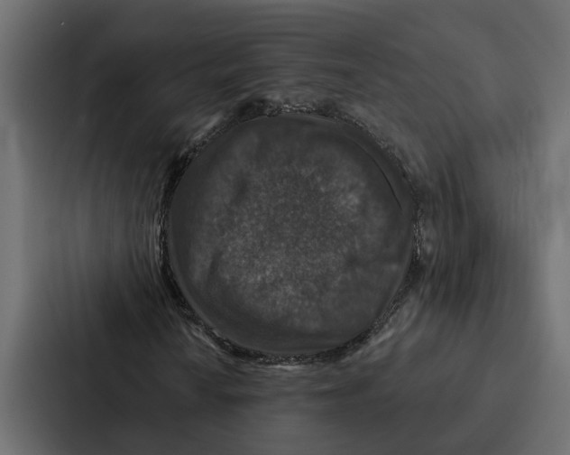 X0000087041010200705160923