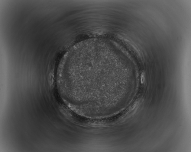 X0000087041011200705160923