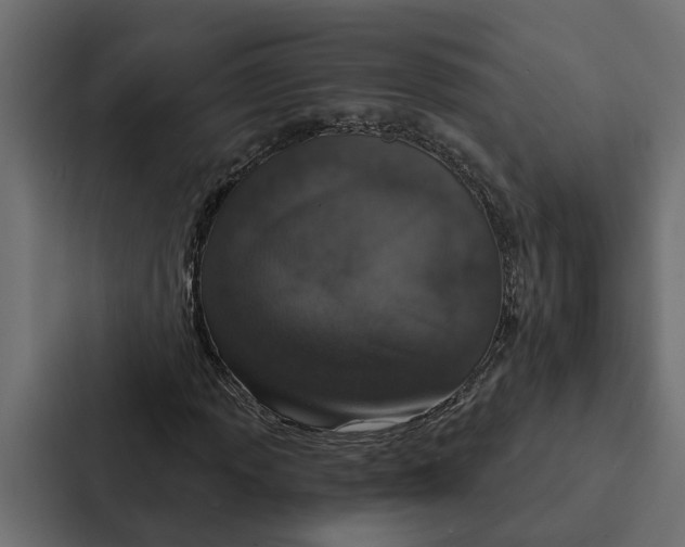 X0000087041013200705160923