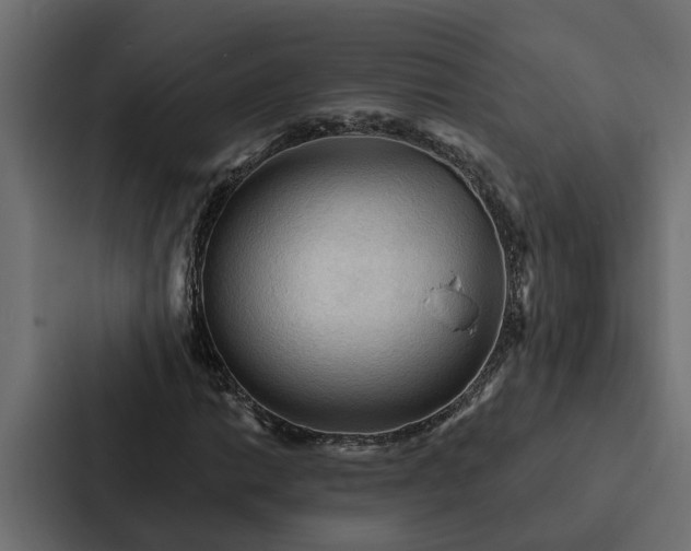X0000087041014200705160923