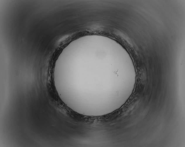 X0000087041016200705160923