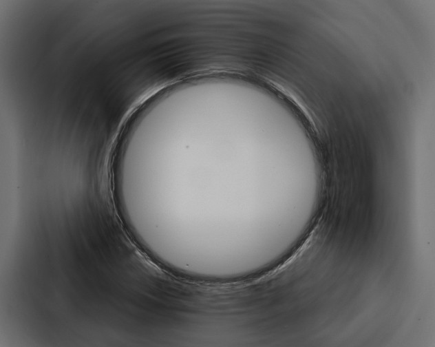 X0000087041018200705160923