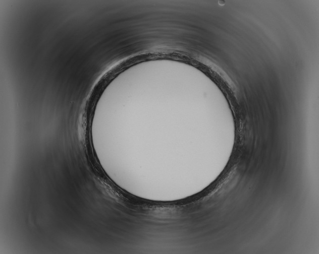 X0000087041021200705160923