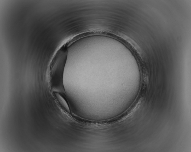 X0000087041022200705160923