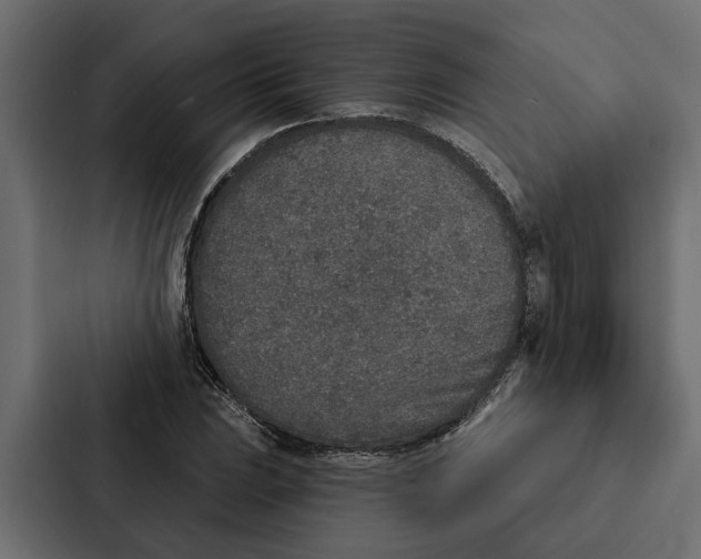 X0000087041023200705160923