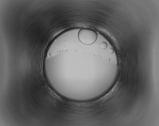 X0000087041025200705160923