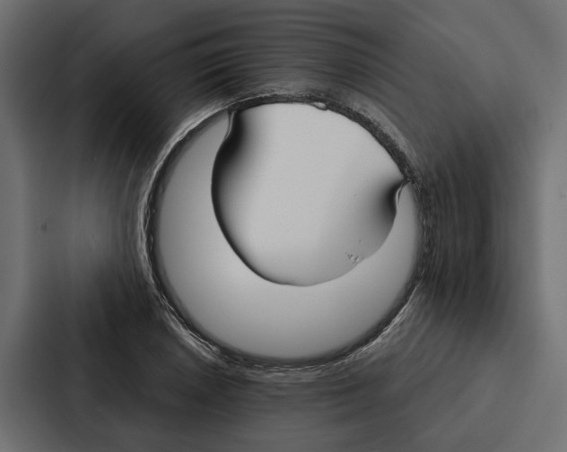 X0000087041026200705160923