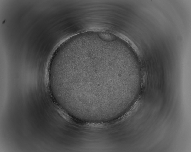 X0000087041027200705160923