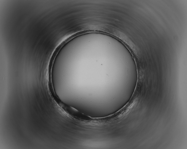 X0000087041028200705160924