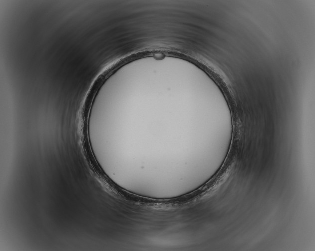 X0000087041029200705160924
