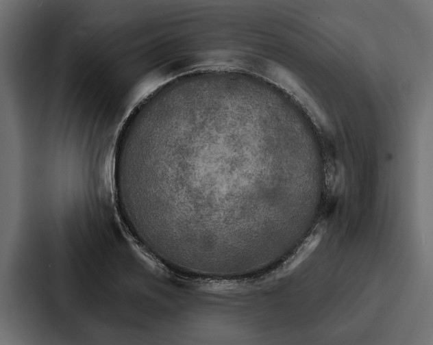 X0000087041030200705160924