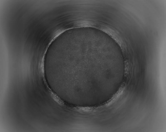 X0000087041031200705160924
