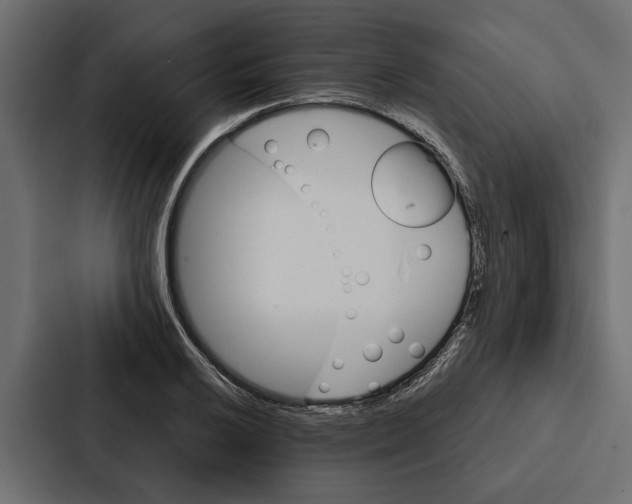 X0000087041032200705160924