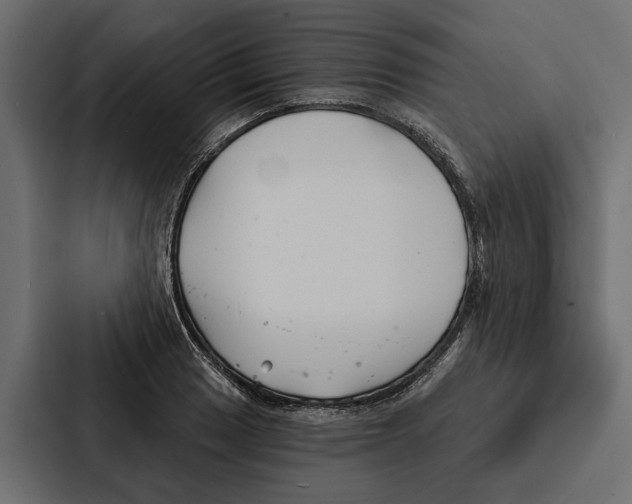 X0000087041033200705160924