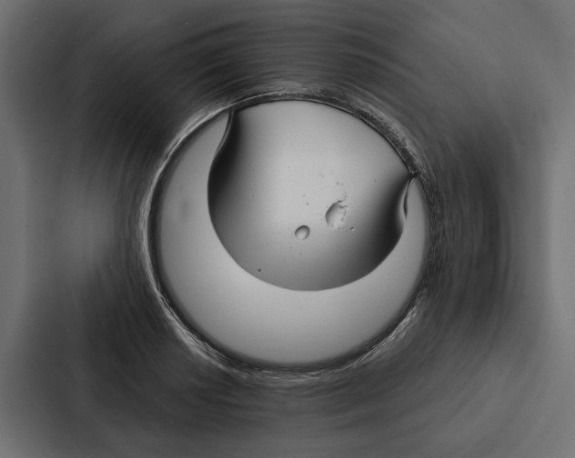 X0000087041034200705160924