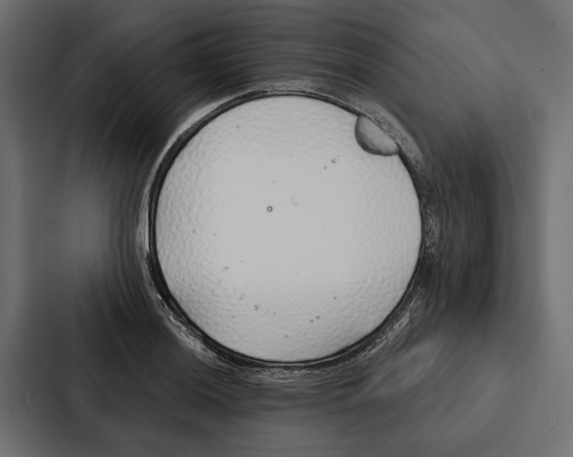 X0000087041036200705160924