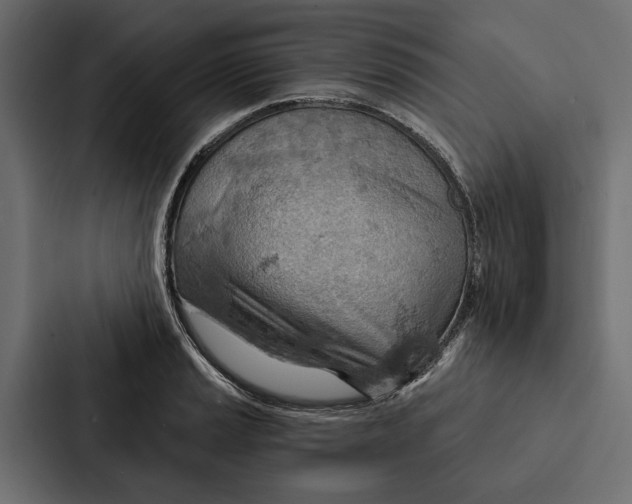 X0000087041037200705160924