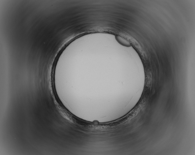 X0000087041039200705160924