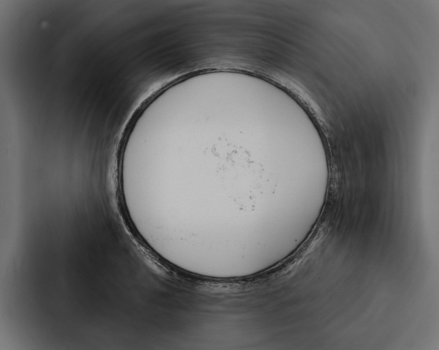 X0000087041040200705160924