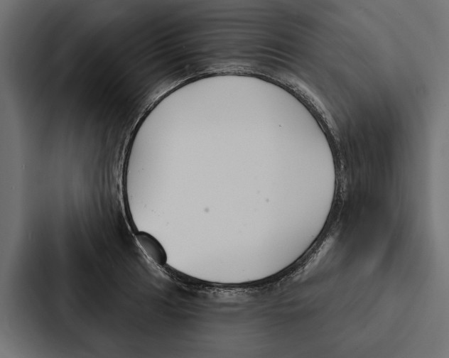 X0000087041041200705160924