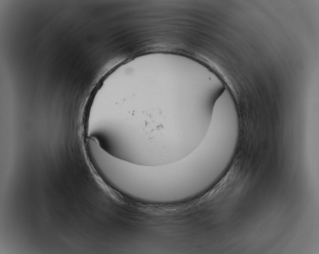 X0000087041042200705160924