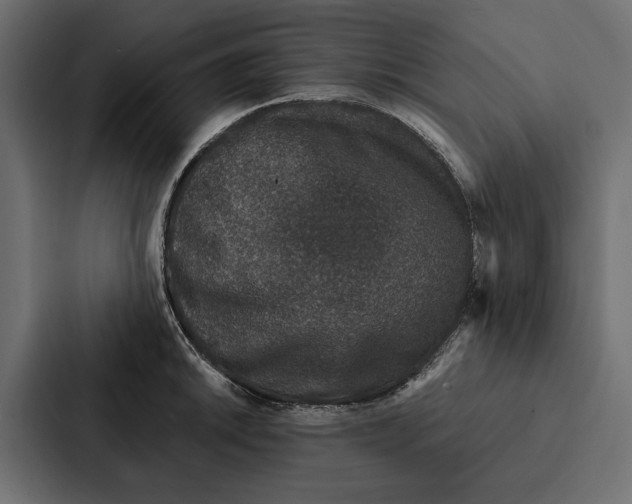X0000087041046200705160924