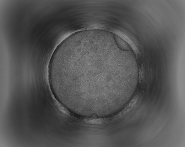 X0000087041047200705160924