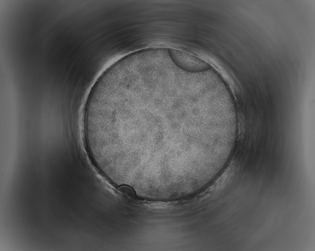 X0000087041048200705160924