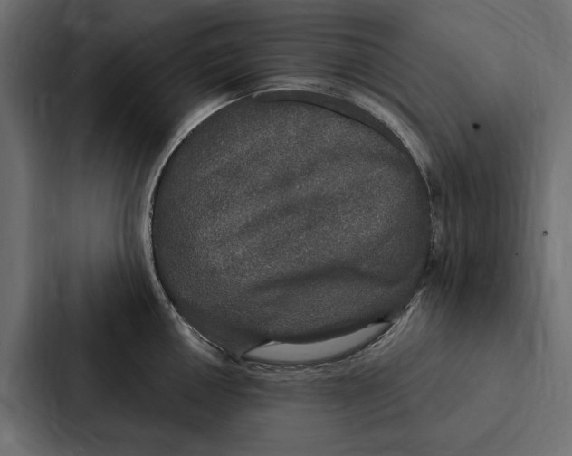 X0000087041050200705160924