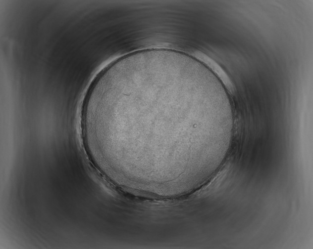 X0000087041051200705160924