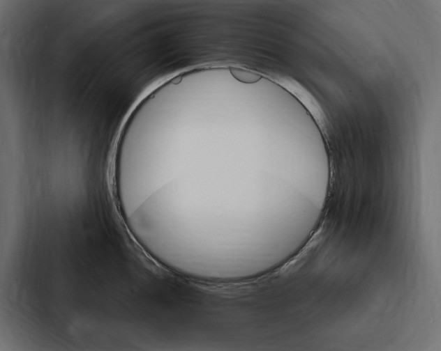 X0000087041052200705160924