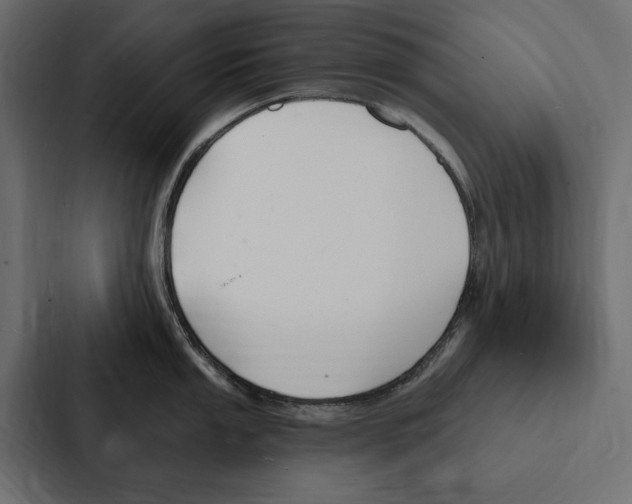 X0000087041053200705160924
