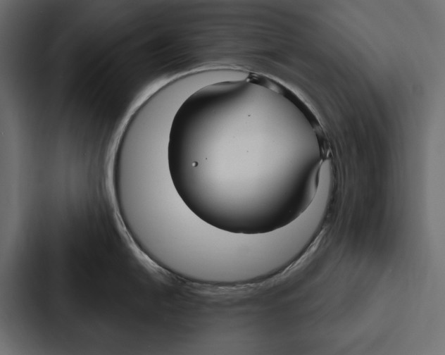 X0000087041054200705160924