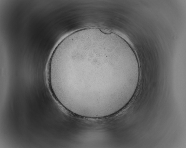 X0000087041056200705160924