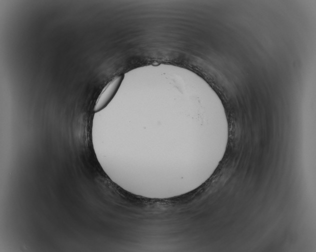X0000087041058200705160923