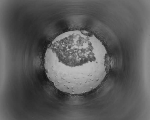 X0000087041059200705160923