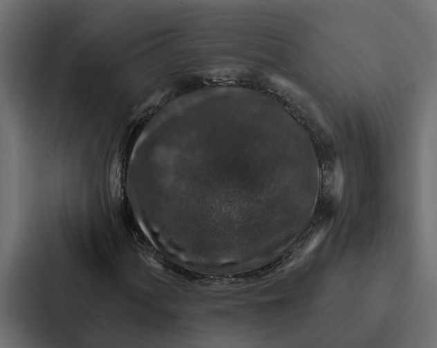 X0000087041060200705160923
