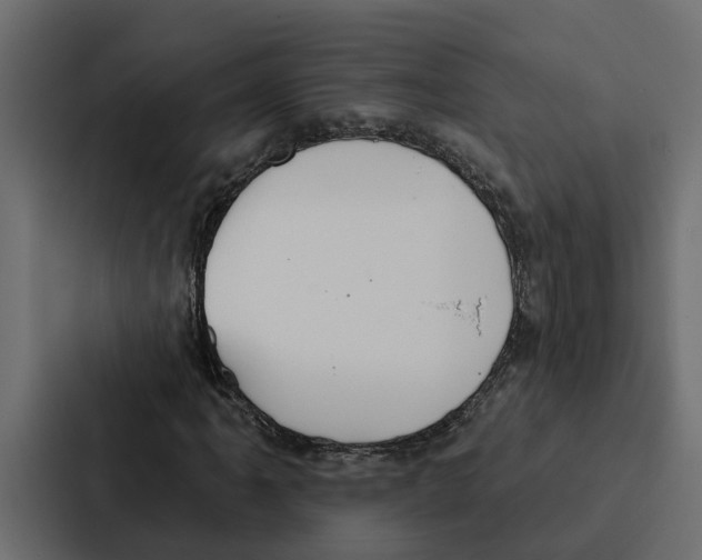 X0000087041061200705160923