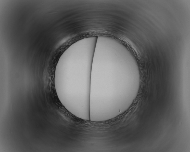 X0000087041064200705160923