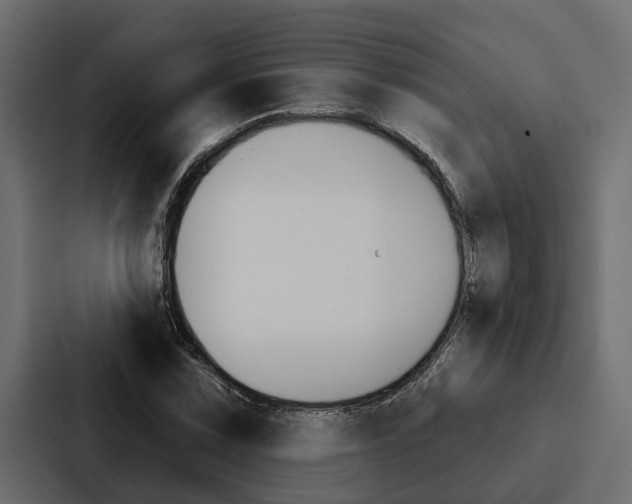 X0000087041067200705160923