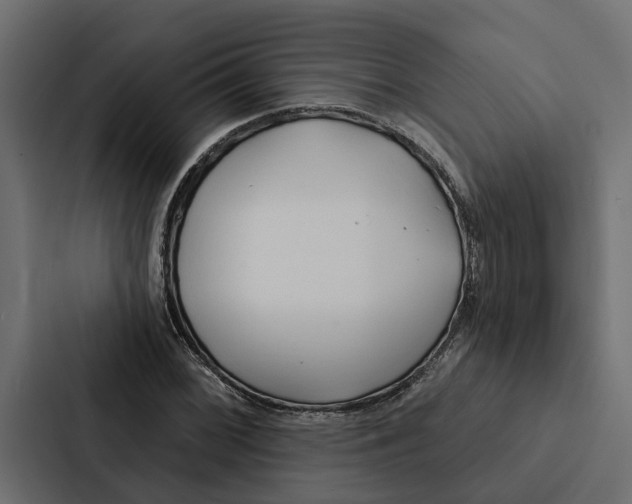 X0000087041068200705160923