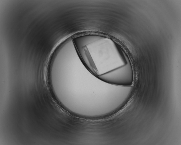 X0000087041069200705160923