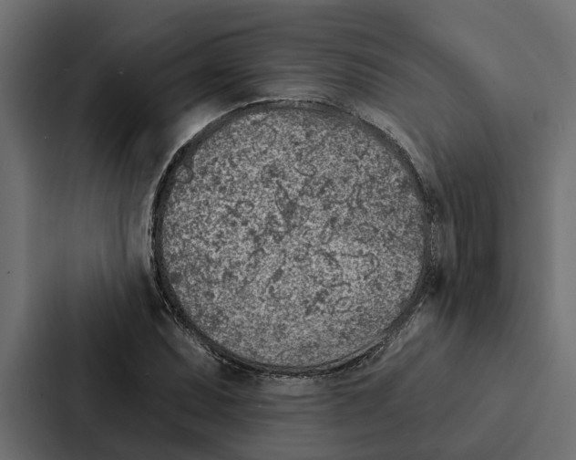 X0000087041071200705160923