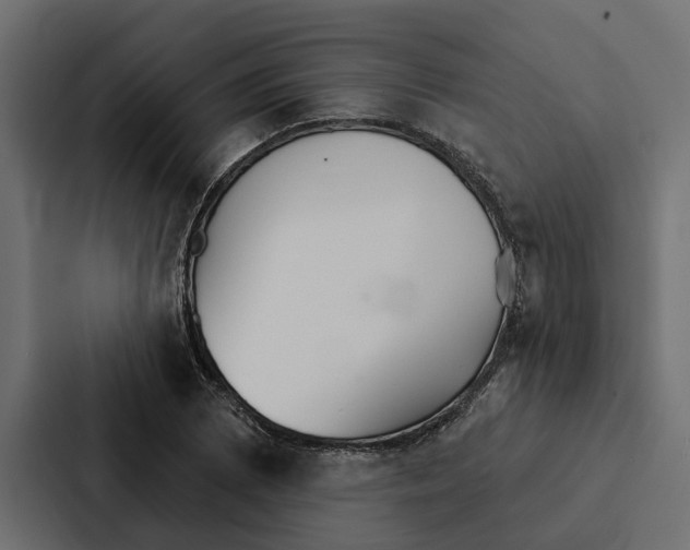 X0000087041073200705160923