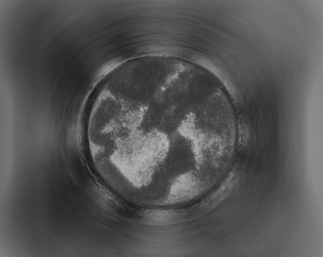 X0000087041074200705160923