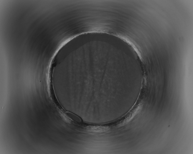 X0000087041077200705160923