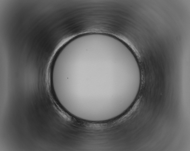 X0000087041078200705160923