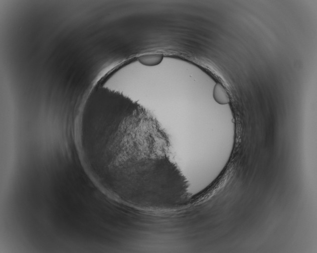 X0000087041079200705160923