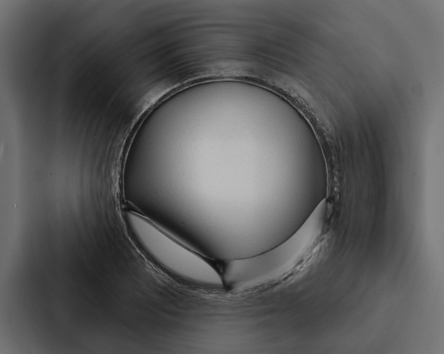 X0000087041081200705160923