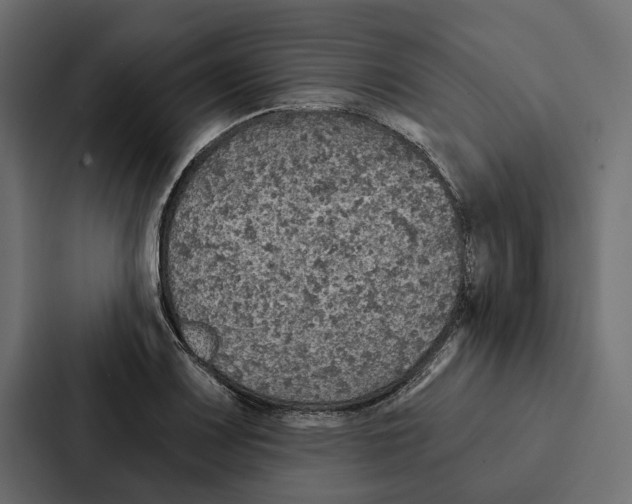 X0000087041083200705160923